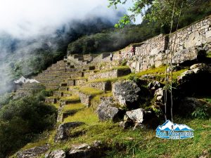 machupicchu with expedition train full day machupicchu first route- Apu Ausangate trek